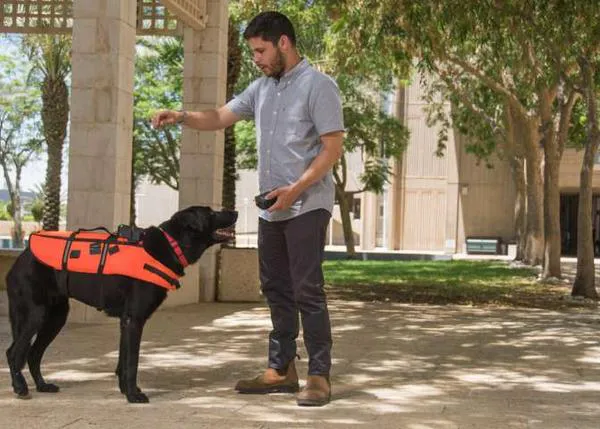 Un arnés especial nos permitiría comunicarnos con los perros sin decir palabra