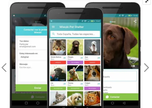 Una app española pone en contacto a protectoras y adoptantes en todo el mundo