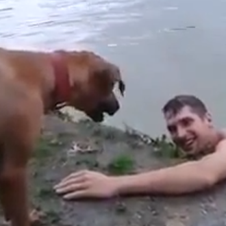 El perro salvavidas con más salero (sólo apto para humanos …