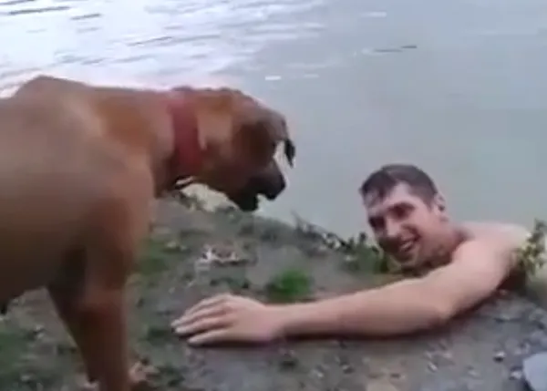 El perro salvavidas con más salero (sólo apto para humanos que sepan nadar bien)