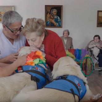 Los perros como catalizadores: los canes que motivan, alegran, que …