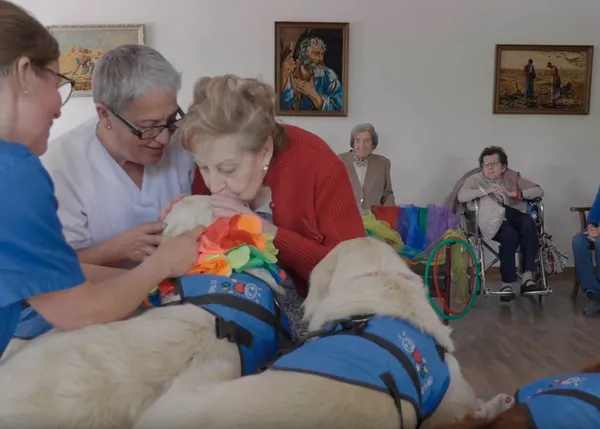 Los perros como catalizadores: los canes que motivan, alegran, que permiten expresar afecto y mejoran la vida humana