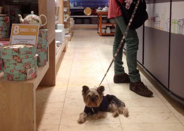 chip perro robot el corte ingles
