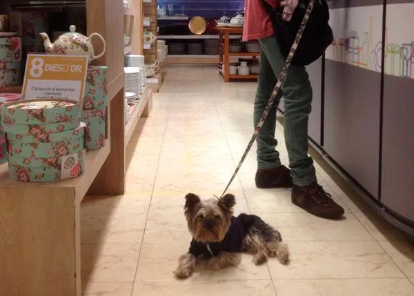 ¿El Corte Inglés con perro? Barcelona sí, Madrid no
