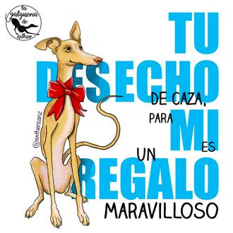 Luchando por los derechos de los Galgos, de los perros …