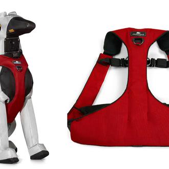 ¿Cómo viajar en coche de forma segura con un perro …