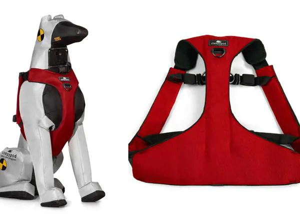 ¿Cómo viajar en coche de forma segura con un perro? Consejos de la DGT y del Center for Pet Safety