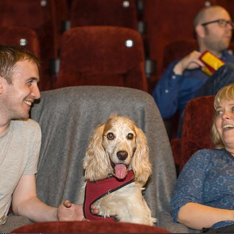Plan para humanos cinéfilos en Londres: el cine dog friendly