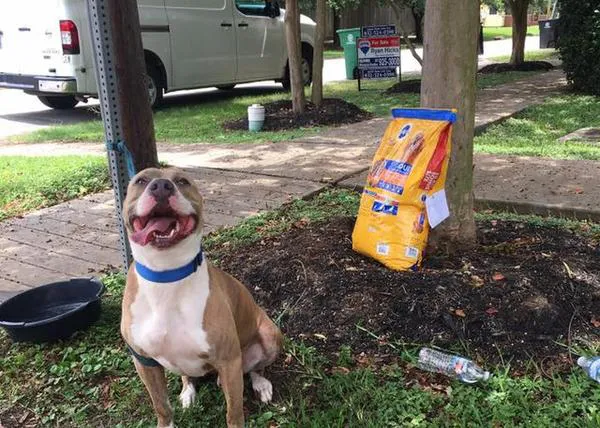 Un perro abandonado junto a su comida y una nota, 