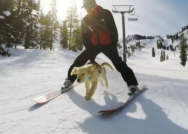 Las (adorables) aventuras de un cachorrote en la nieve: así aprenden los perros de rescate
