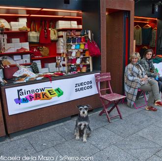 Planes con perro: un paseíto por el 