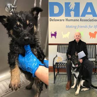 Major Biden ayuda a recaudar más de 200.000 $ para …