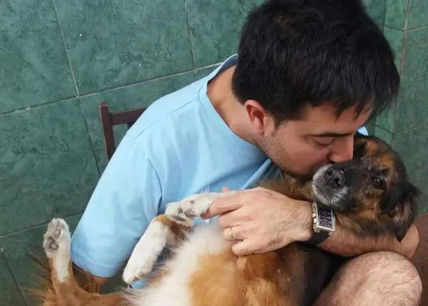 Varapalo de la justicia europea para los derechos de los animales que viajan en avión: su 