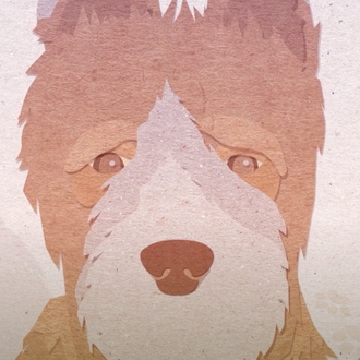 Canciones solidarias que alegran el alma mientras ayudan a los …