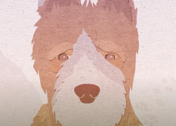 Canciones solidarias que alegran el alma mientras ayudan a los perros y gatos que lo necesitan