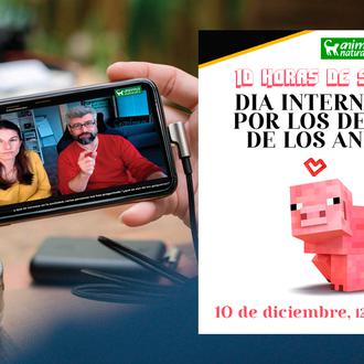 Maratón benéfico de streamers en Twitch en el Día Internacional …