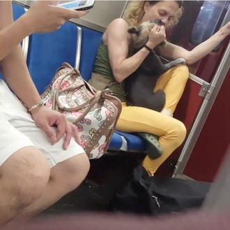 Tras ser grabada pegando y mordiendo a su perro, le …