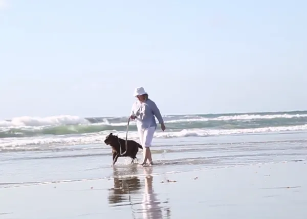 Reportajes de familias con perros viejitos: un proyecto maravilloso de amores incondicionales