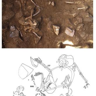 Hace 6.000 años, los perros ya tenían una estrecha …