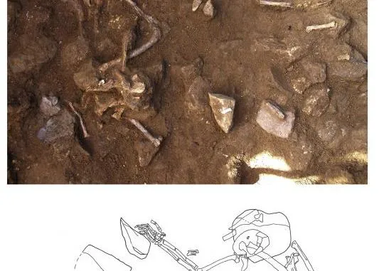 Hace 6.000 años, los perros ya tenían una estrecha relación con los humanos en la Península Ibérica