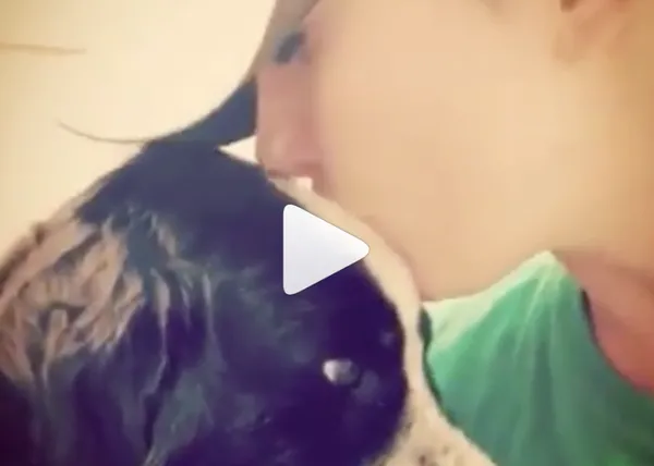 De la tristeza más absoluta a la felicidad: un perro entregado en una protectora encuentra una nueva familia