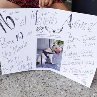 Varios perros mueren en una (presunta) residencia canina en Madrid …