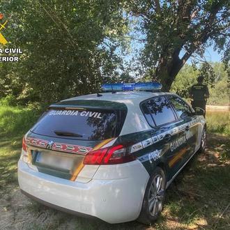 Un perro ha muerto dentro de un coche y en …