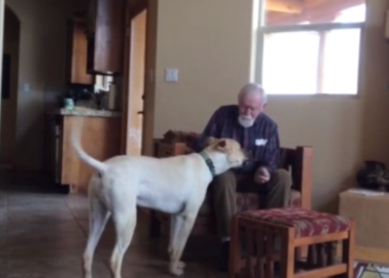 El poder de un perro: la relación de un enfermo de Alzheimer y el can de la familia