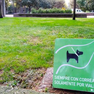 Huesca con Perro: una ordenanza regula todos los sitios donde …