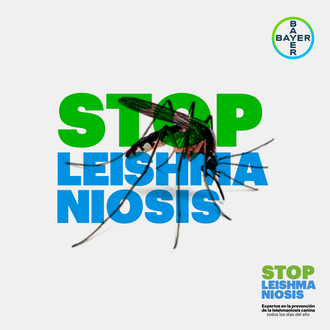 #StopLeishmaniosis: la información y la prevención son claves para evitar …