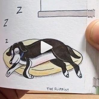 Deliciosas historias perrunas que vuelan de página en página: los …