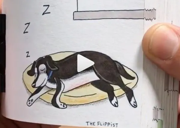 Deliciosas historias perrunas que vuelan de página en página: los geniales folioscopios caninos de The Flippist