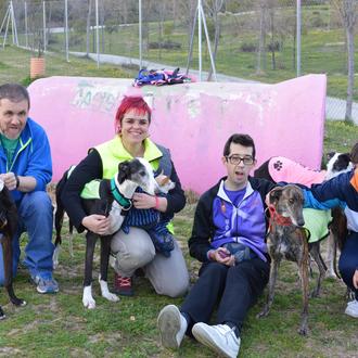 El cariño recíproco entre perros en adopción de Animal Rescue …