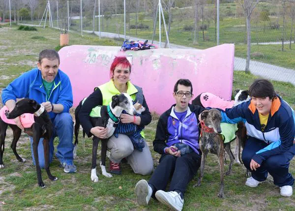 El cariño recíproco entre perros en adopción de Animal Rescue España y personas con necesidades especiales
