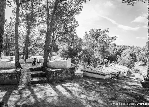 El adios grabado en piedra: El Último Parque y otros cementerios de animales