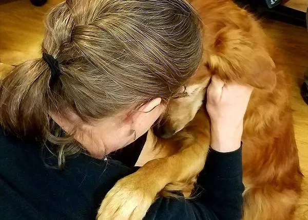 Los perros de terapia que ayudan a enfermos terminales: canes que logran lo que ningún humano puede conseguir