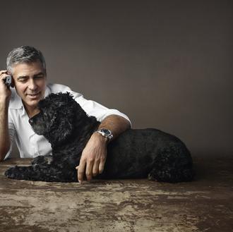 ¿Cómo se enamoró George Clooney? De Amal no sabemos pero …