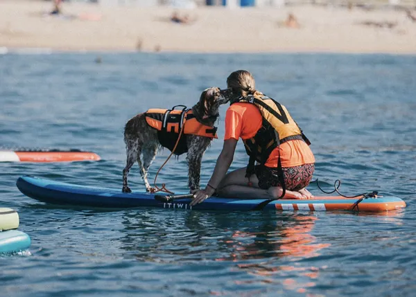 ¡Al agua perros! Gran éxito del primer campeonato de Paddle Surf con Perros en el Masnou