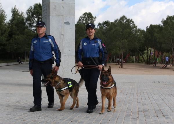 Efecto Mozart y camas calefactables para mejorar la calidad de vida de los perros policía de Madrid