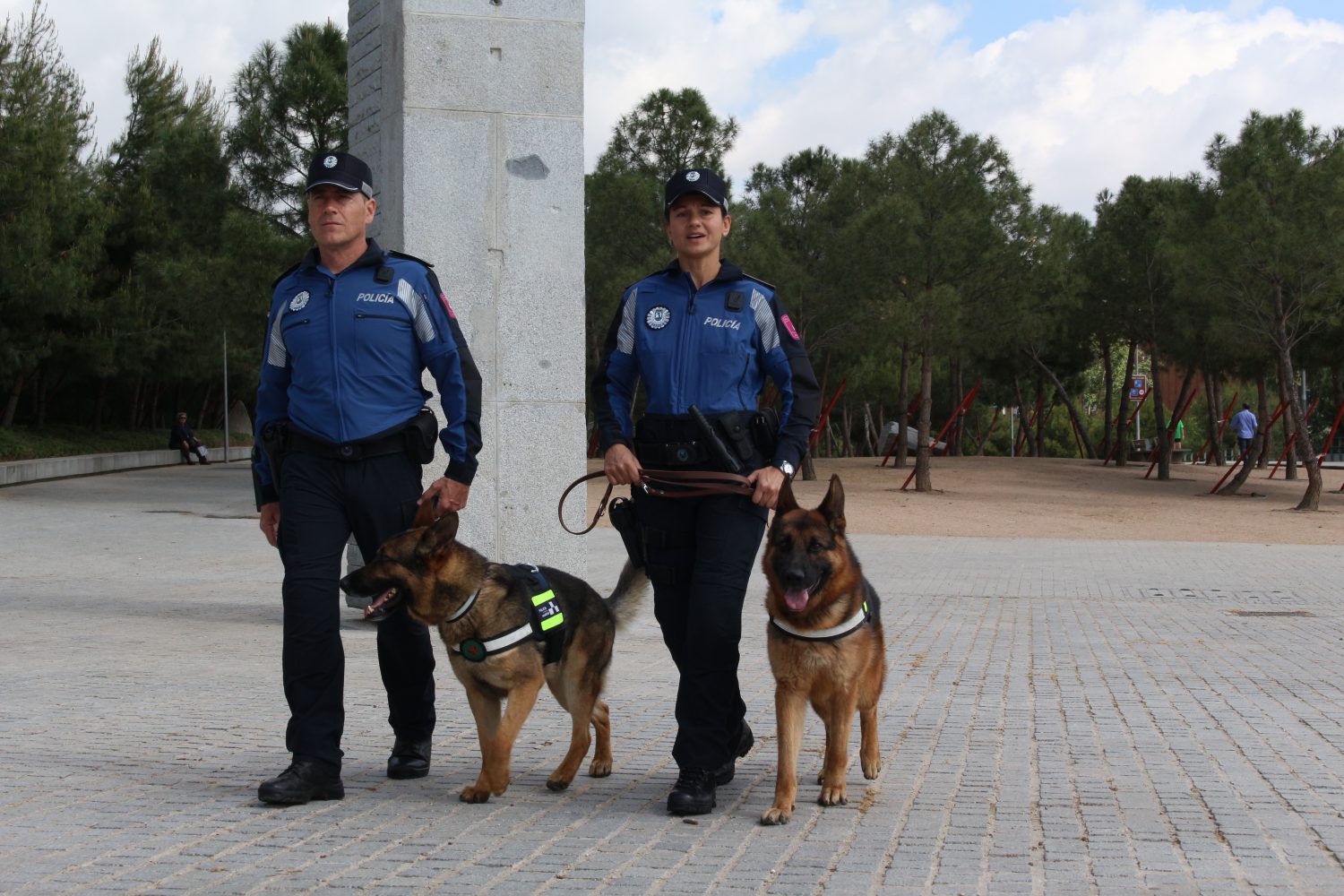 policías animales cachorro con garrapatas policías animales cachorro con garrapatas
