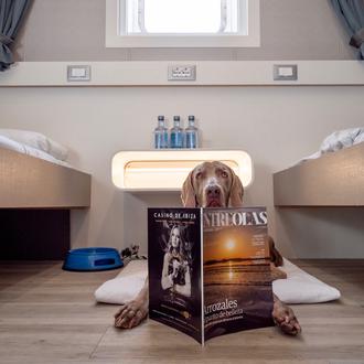 Con más de 80 camarotes pet friendly, Baleària hace que …