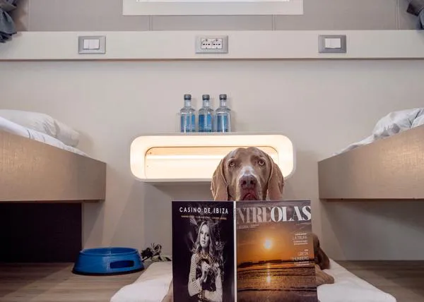 Con más de 80 camarotes pet friendly, Baleària hace que los viajes con perro sean mucho más placenteros