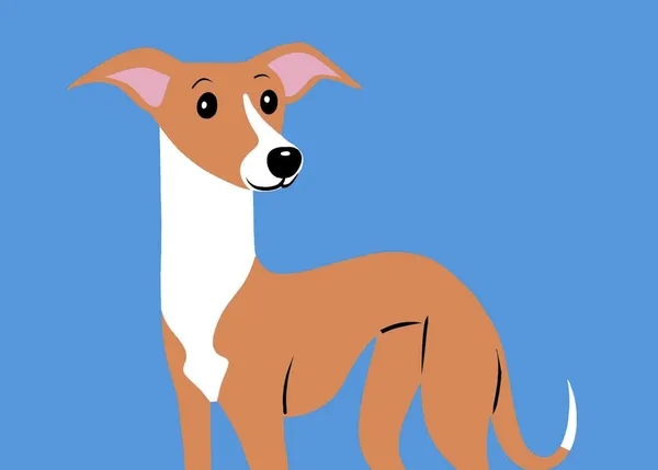 Agosto es el mes más perro y también el más bonito gracias a Lili Chin y muchos otros ilustradores: #Doggust2023