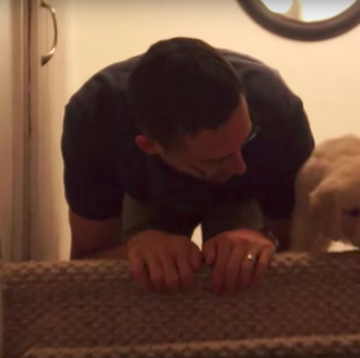El primer descenso de escaleras de varios cachorrotes, con ayuda …