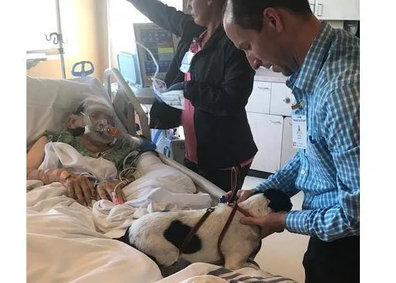 Un médico localiza en una perrera al can de una paciente, enferma terminal, para que puedan despedirse