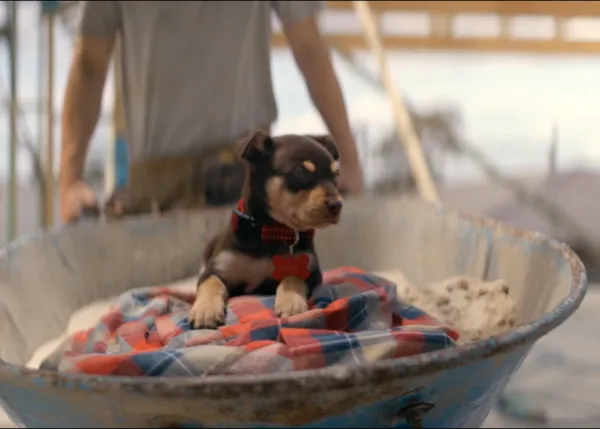 El amor que nunca cambia: un hombre y su perro, siempre juntos... un anuncio ¡maravilloso!