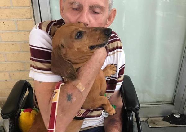 Una reunión agridulce: tras ingresar en una residencia de ancianos, un hombre se reencuentra con su perro