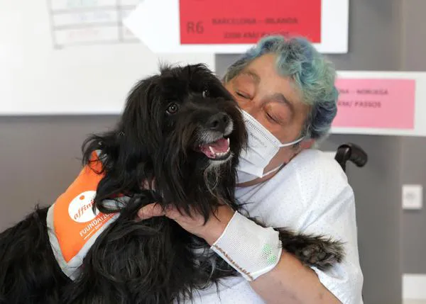 Juntos, +Fuertes: o cómo los perros de terapia motivan a pacientes frágiles y contribuyen a su recuperación física y cognitiva