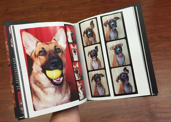 Los perros del fotomatón: canes adoptables y adoptados ahora en versión libro