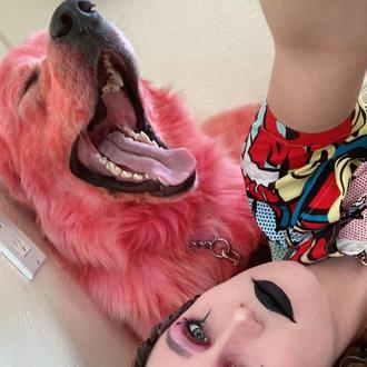 No nos merecemos a los perros: una mujer tiñe constantemente …